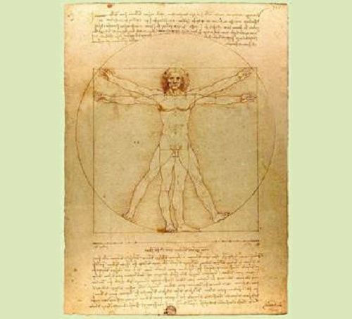 The da Vinci challenge: Vitruvian Man
